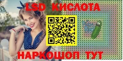 spice Моздок